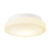 Panasonic LED Small Ceiling Light for Washroom (direct Type) Bulb Color LSEW2005LE1