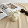 Home Decor Artificial Rose Ceramic Vase Desktop Ornaments Faker Flower Living Room