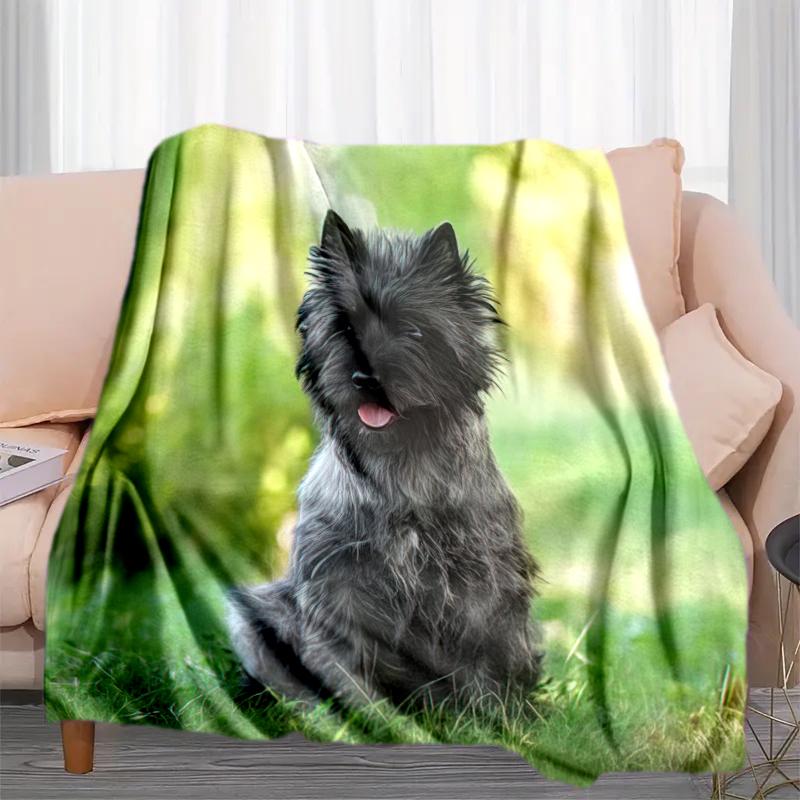 1PC Dog cute printed blanket, all season lightweight home office outdoor nap multifunctional blanket A15