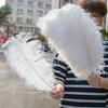 10Pcs/Lot Multicolor Ostrich Feathers Bulk 15-50Cm Natural Plumes For Handicraft Party Table Centerpieces Decor Carnival Plumas