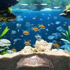 Напечатанная на 3D-принтере пещера-тоннель для аквариума, укрытие, натуральное украшение для аквариума с рыбами и креветками, с отверстиями для обзора под разными углами, аксессуар для аквариума с живыми растениями