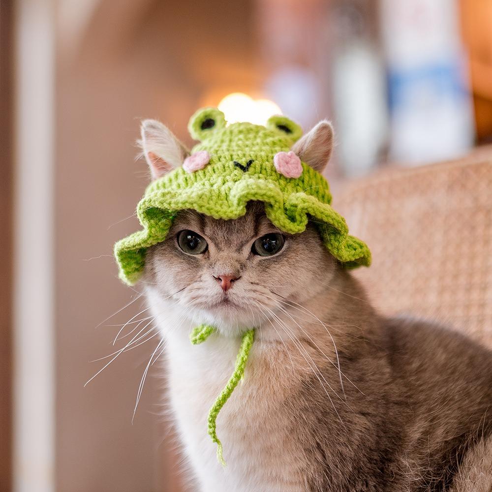 Winter 2023 Warm Elastic Crochet Cat Hat Frog Hat Pet Cap for Party Photo Props