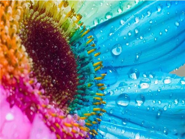 5D DIY Алмазная картина Подсолнух, полная дрель, круглая рукоделие, художественная Алмазная вышивка, набор для вышивки крестом, украшение дома