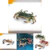 Marine Life Crab Replica For Kids Learning Aquarium Decoration Pvc Collectible
