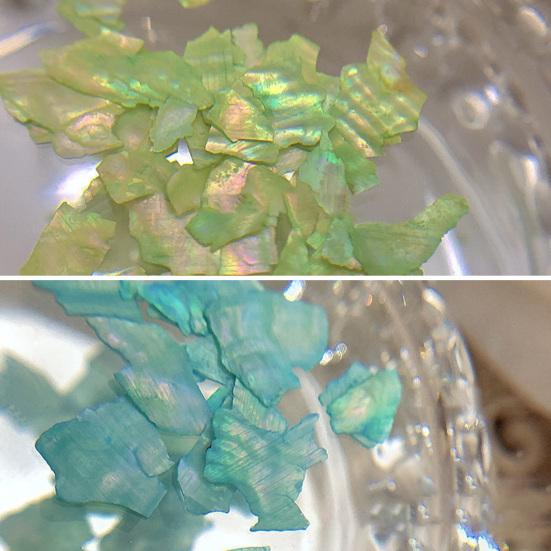 Delicate Nail Art Flake Irregular Shape Boxed Nail Art Decor