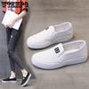 Canvas Shoes Female Student Casual Cloth Shoes Korean Style Women's Shoes Flat Single Shoe Lazy Small White Shoes