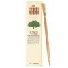 TOMBOW Карандаши Wood Story 2B 1 дюжина LA-KEA2B