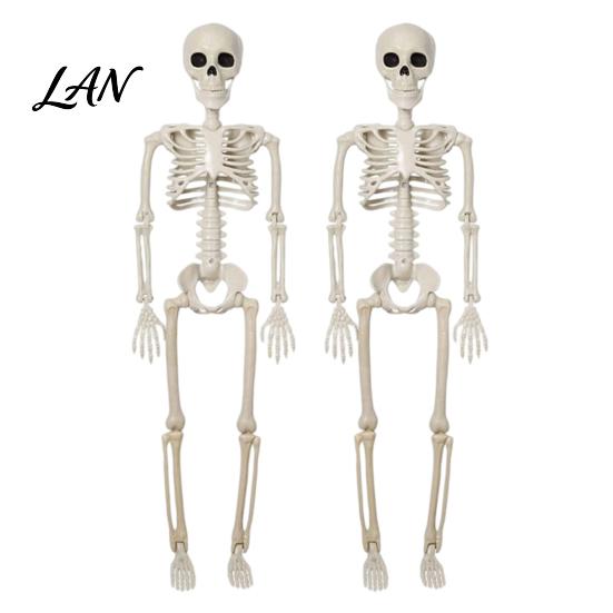 Flexible Skeleton for Film Props Halloween Decoration, 3Ft Life Size Full Body Human Bone, Realistic Posable Decor Holiday Party with Movable