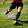 1pc Kittens Butterflies Theme Soccer Ball Football, Size 5, Lightweight PVC, Outdoor Training Soccer Ball,Gift c6566
