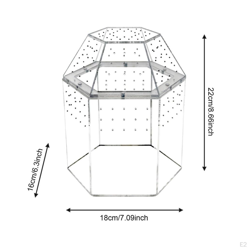 Reptile Terrarium Small Breeding Box Jumping Spiders Enclosure Clear Accessories Habitat