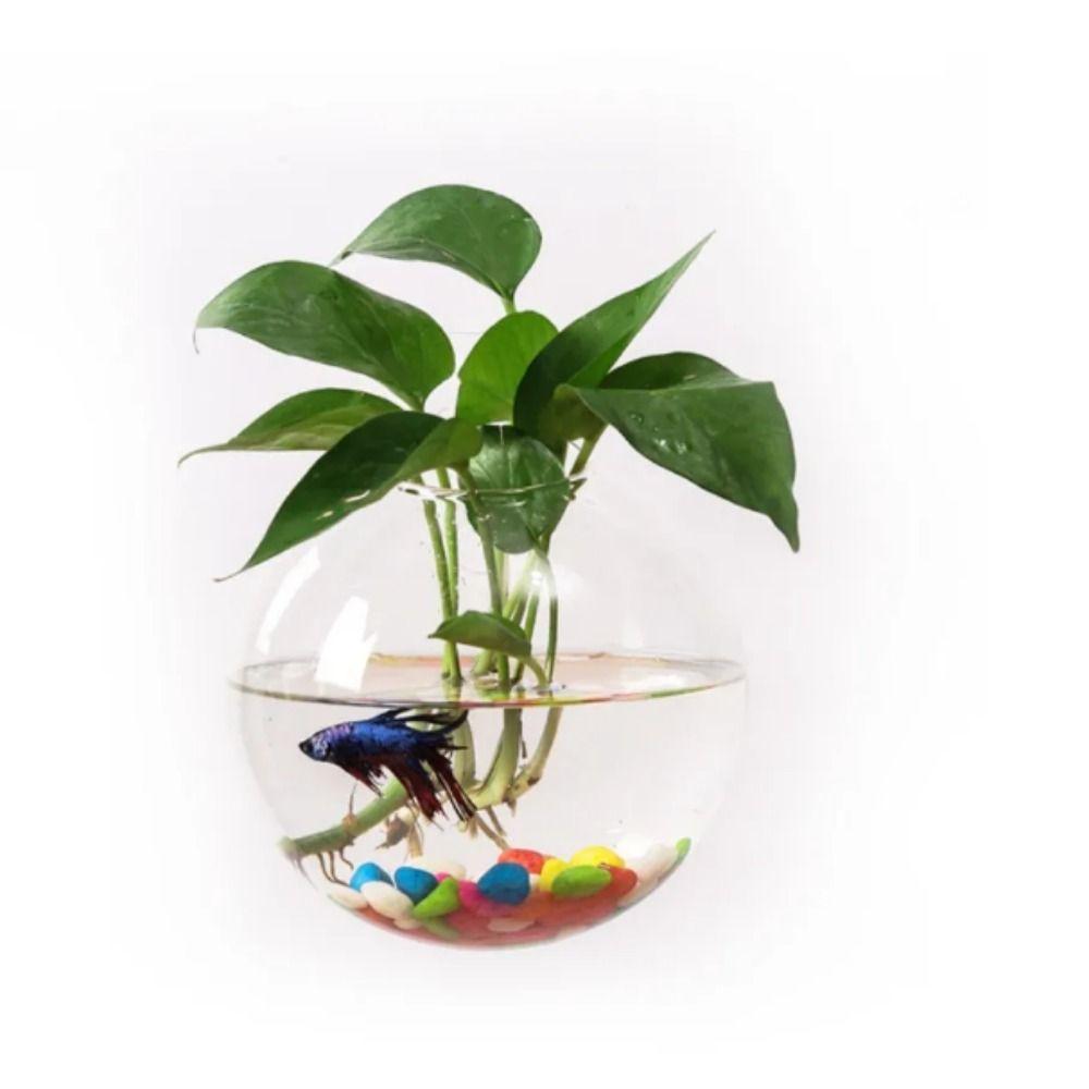 Акриловый настенный аквариум полусферической формы, подвесной аквариум для петушков, украшение для офиса