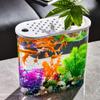 Transparent Aquaponic Fish Bowl Removable Plastic Hydroponic Fish Tank Goldfish Tank   Table