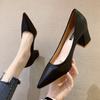 High Heels Women's New 2025 Spring and Autumn Korean Version Pointed Head Shallow Mouth Single Shoes Women's Fashion Medium Heel Women's Shoes