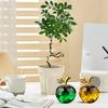 Yousheng Glass Apples Figurine Faux Crystal Fruit Ornament Collectible Translucent Apples Decoration for Home Office Car Dashboard