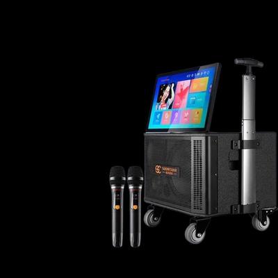 Портативная уличная караоке-колонка-тележка SG30-10 с 19-дюймовым дисплеем, штекер CN (адаптер в комплекте) (Китайская версия)