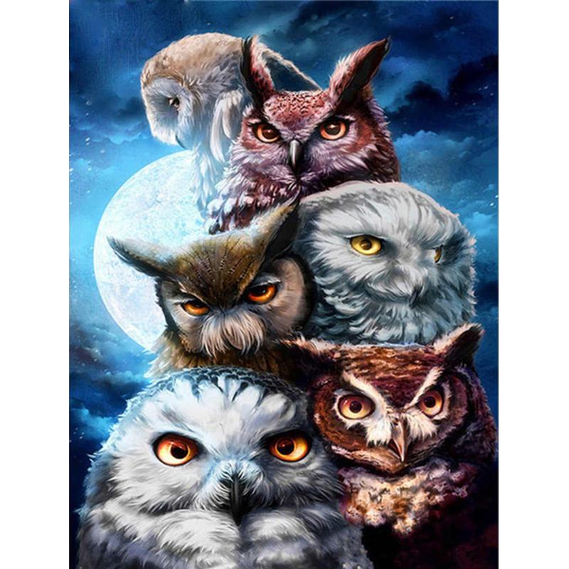 5d Алмазная вышивка Сова Мозаика Набор для вышивки крестом Круглая квадратная алмазная живопись Животное Новое поступление Стразы из бисера Ручная работа Хобби