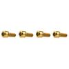 Dingtai 4pcs Titanium M6x16/18/20/25mm Fixing Washer Screw Allen Hex Bolt