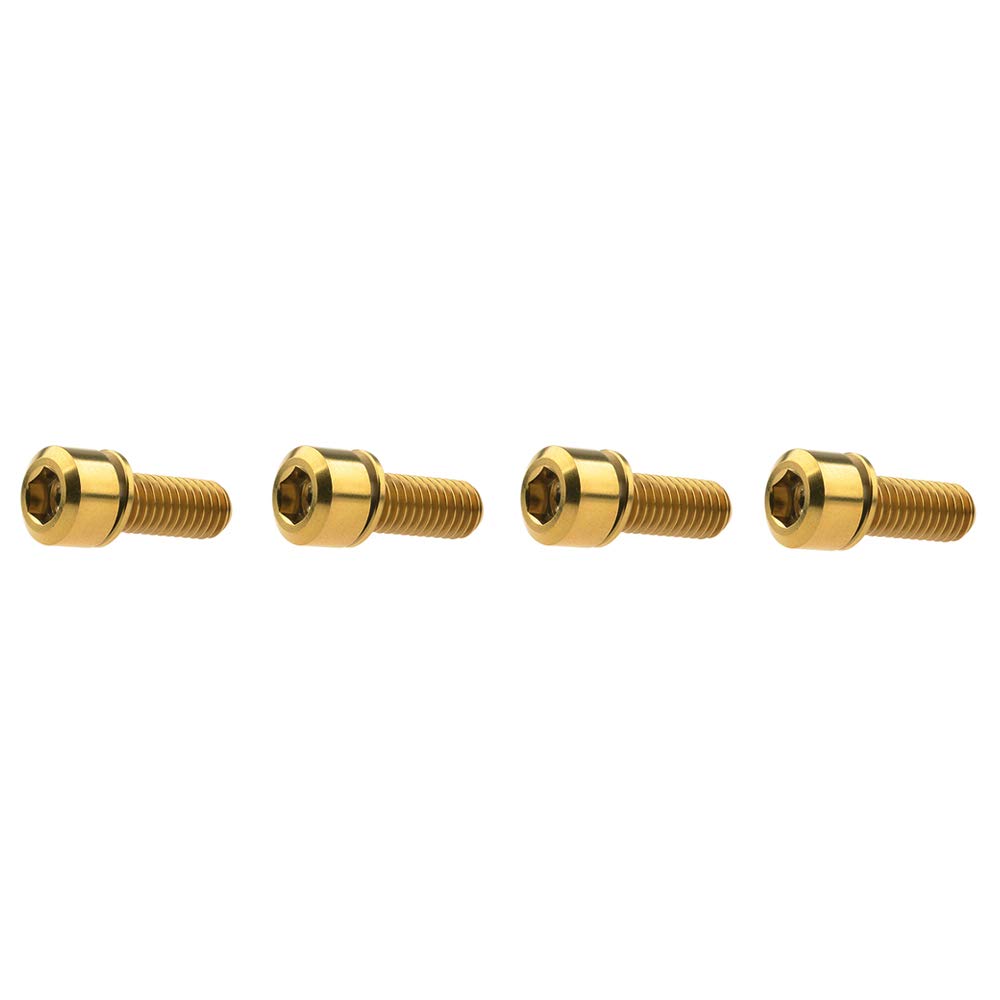 Dingtai 4pcs Titanium M6x16/18/20/25mm Fixing Washer Screw Allen Hex Bolt