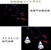 XZFLQ Set of 2 Door High Brightness LED Chips Toyota Logo Curtain Lamp Curtain Light Ghost Shadow Light for HIGHLANDER