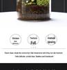 Dew Collection Mini Ecosystem: Moss Terrarium Glass Cover Decor