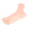 Soft PVC Foot Mannequin for Shoes Socks Display Massage Practice Model