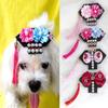 Одежда и обувь – Аксессуары для собак