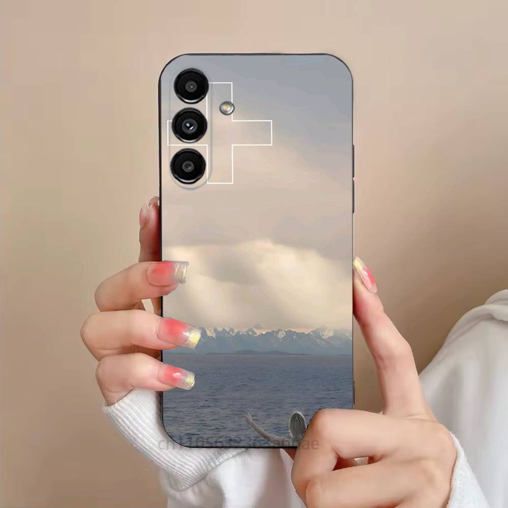 2hollis 2 poster boy Phone Case For Samsung Galaxy S21 22 23 24 S25 Ultra PlusS20 FE S10 Plus Cover Funda