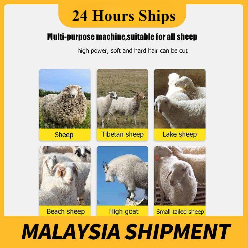 3500 Вт Машинка для стрижки шерсти животных Триммер Регулируемая 6 скоростей 13 зубьев Электрическая стрижка овец коз Ножницы для стрижки овечьей шерсти