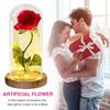 Beauty and Beast Artificial Flower Glass Cover Eternal Rose Birthday Gift Valentine's Day Gift
