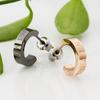 Surgical Stainless Steel Half Hoop Earrings with Roman Numerals Pink Black Set of 2 4SPE001GO 4SPE001BK [White Clover] & &