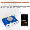Мини-усилитель Bluetooth 5.0 Digital Audio Power Class D HiFi Stereo 200 Вт*2 12 В/24 В Домашняя Автомобильная USB музыкальная звуковая карта AMP Динамик