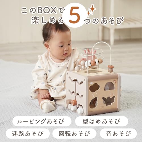 Edute LabelLabel Activity Cube, an educational toy for fingertip play, spatial awareness, and brain training. Includes looping and shape matching. Per