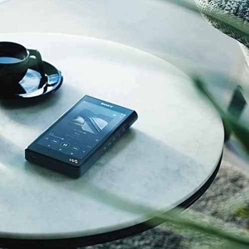 Sony Walkman 128 ГБ серии WM1 Оснащен Android Совместимость с кабелем DSDDSD Собственное воспроизведение Воспроизведение PCM Оснащен DSEE Ultimate DSD