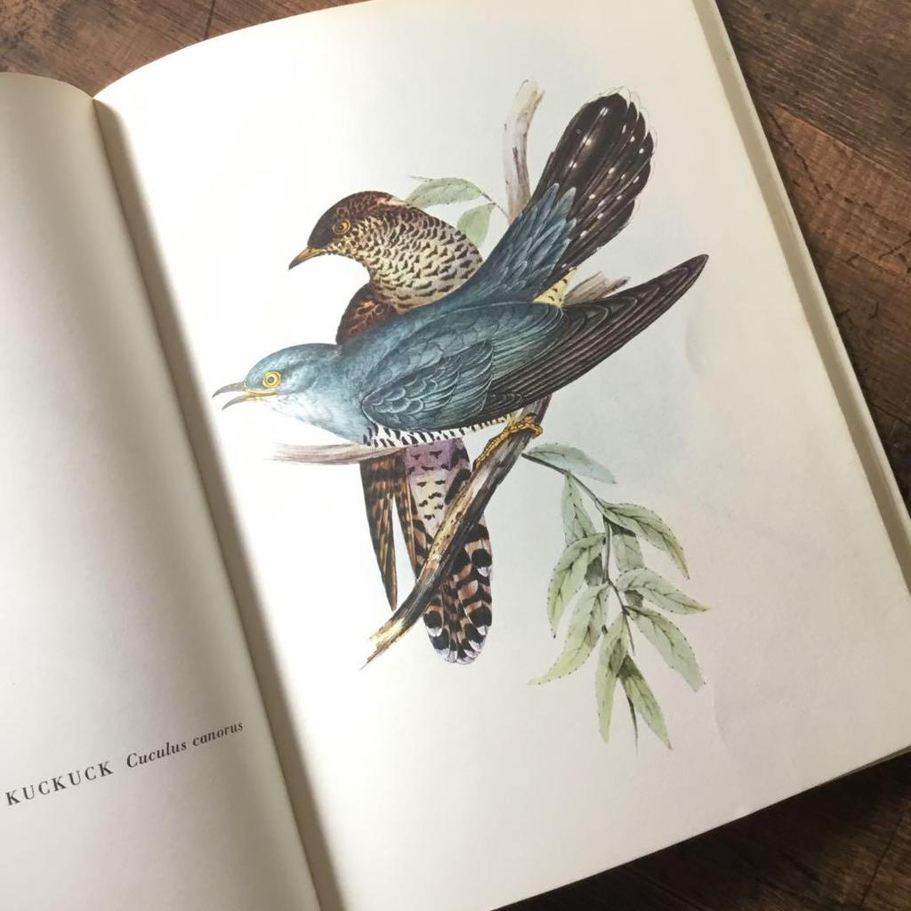 [Б/У] Иностранные книги, немецкие определители птиц, старые книги, винтажные книги