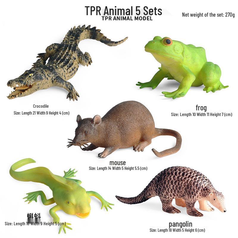 Children's Cognitive Rodent Simulation Toy: Chipmunk, Marmot, Squirrel, Guinea Pig Models