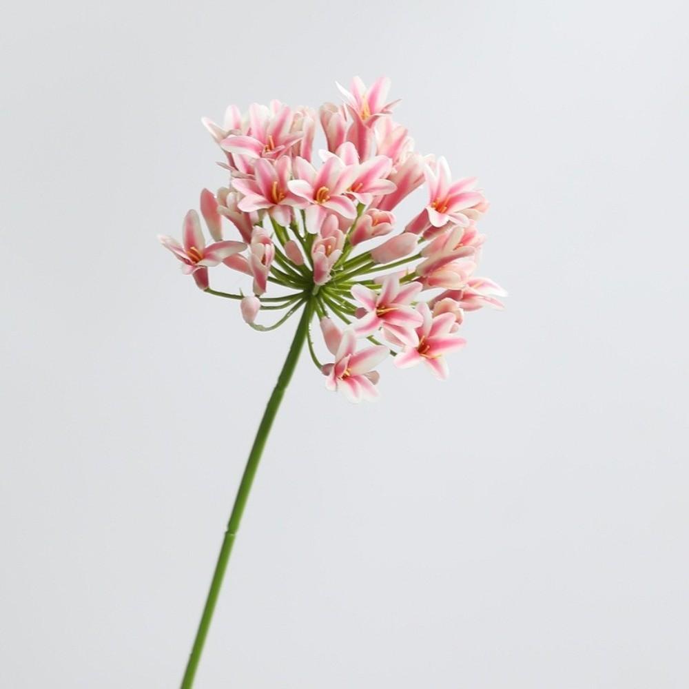 Long Branch Agapanthus Flowers Branch Fake Artificial Flower Fake Lotus Flower Table Accessories
