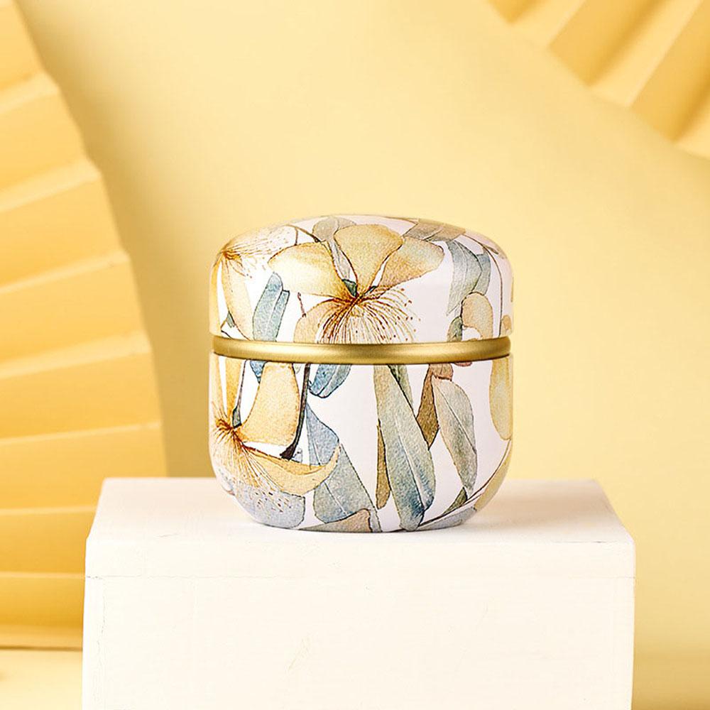 Portable Snacks Candy Round Small Storage Box Packaging Box Tea Cans Containers Tin Plate Canister