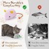 15 шт. Игрушки-мыши с кошачьей мятой для кошек, плюшевые мыши, мягкие набивные животные, интерактивные, реалистичные, развивающие игрушки-мыши для домашних кошек, игры, упражнения, охота