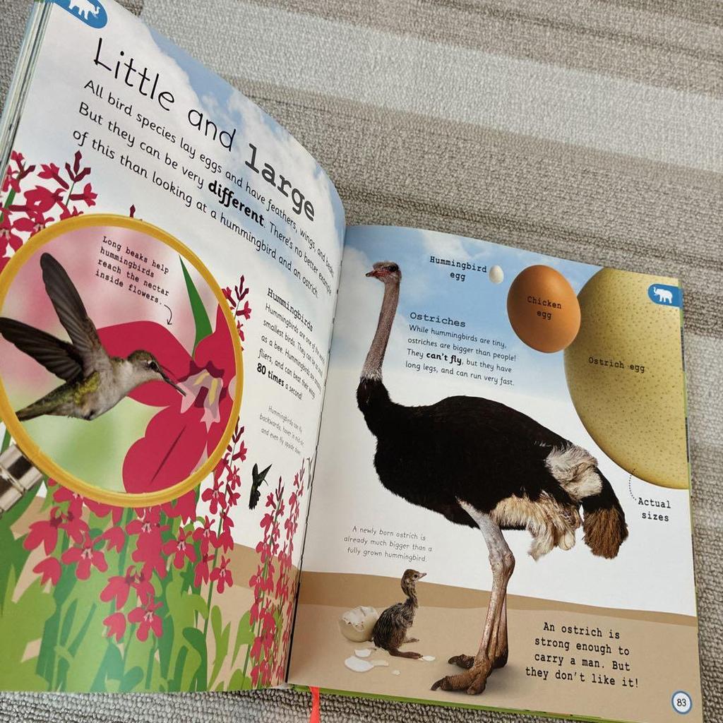 [USED] My Encyclopedia of Very IMPORTANTANIMALS