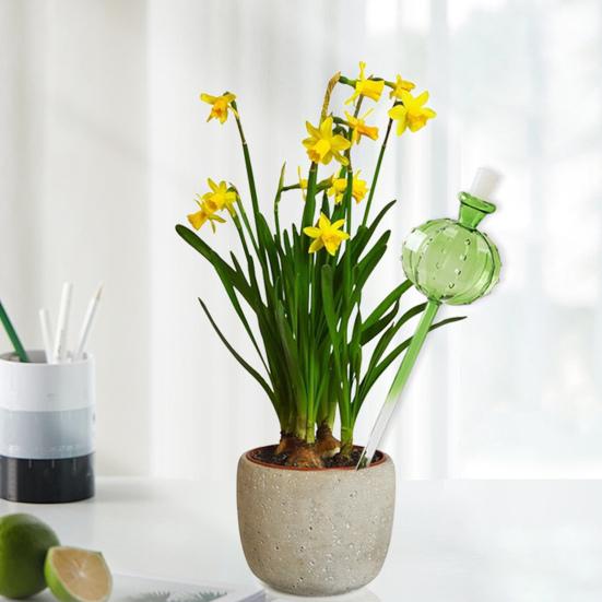 Колбы для полива растений, вставка для посадки, самополивающиеся глобусы с заглушками, шарообразные кактусы, инструменты для полива растений во время отпуска