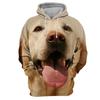 Sweat À Capuche À Manches Longues Imprimé 3D Pour Hommes Et Femmes, Sweat-shirt, Pull, Manteau, Haut, Animaux Drôles, Chiens, Mode