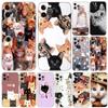 Чехол для телефона Cat Cute Kitten Catling для iPhone 5 5S 2020se 6 6s 7 8 plus x 10 XR XS 11 12 13 mini pro MAX, черная задняя крышка из ТПУ