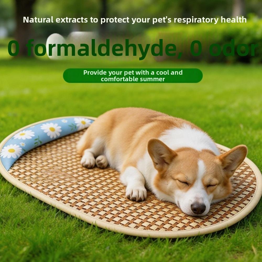 Breathable Pet Rattan Weaving Sleeping Mat with Pillow Portable Cat Bed Kennel Mat Travel