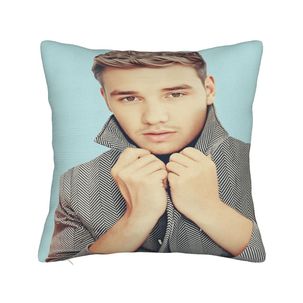 L-Liam Payne Singer Pillow Case Soft Pillow Cover Morden Pillowcases For Living Room Chair