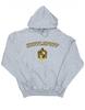 Boys Hufflepuff Crest Hoodie