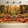 2D фон с тыквами и стогами сена для семейной фотосессии и вечеринок