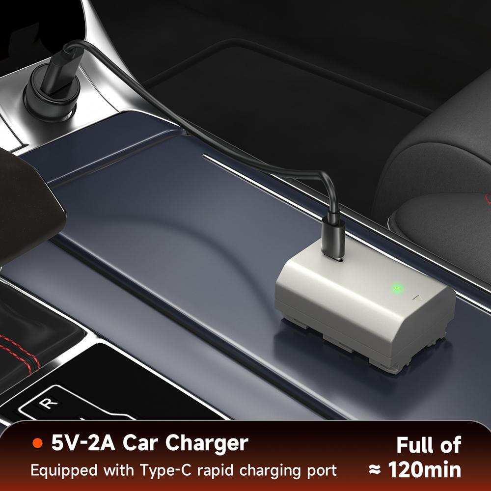 PALO NP-FZ100 NP FZ100 Np Fz100 Battery+Type C Port for Sony A6700 BC-QZ1 Sony Alpha A9 a7R III A7 III A7R3 a7R IV A6600 ZV-E1