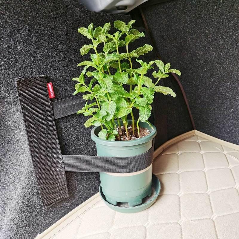 S/L Эластичный фиксирующий ремень для багажника автомобиля, фиксирующий ремень для огнетушителя, баллона, органайзер для салона, фиксирующие ремни, автоаксессуары