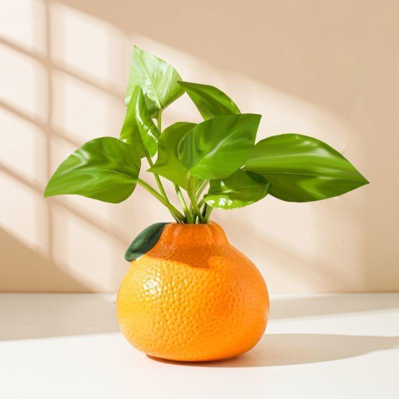 Creative Hydroponic Pothos Vase - Orange Vine Stand for Living Room or Office Desk