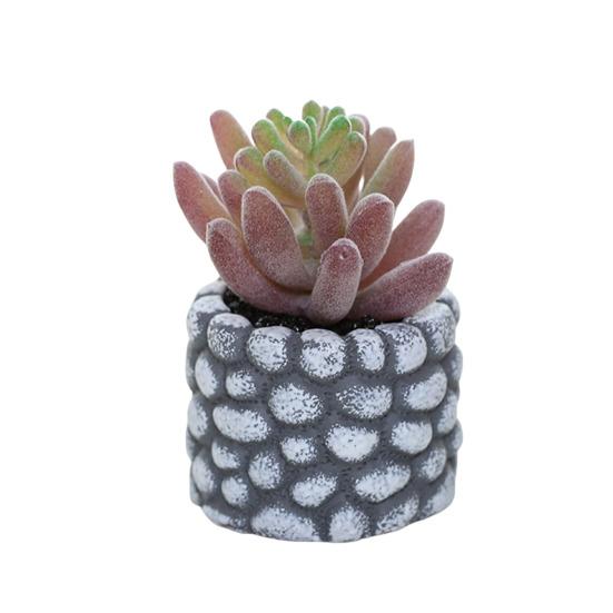 Desktop Ornament Simulation Bonsai No Watering Practical Artificial Succulents Plant